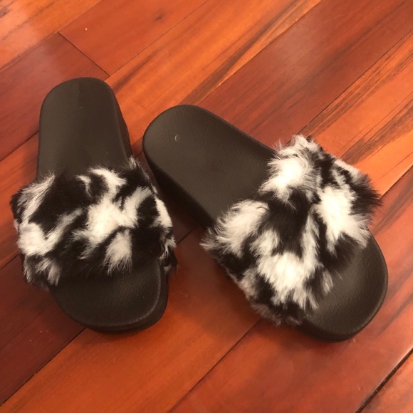Zebra fur slides - Picture 2 of 6